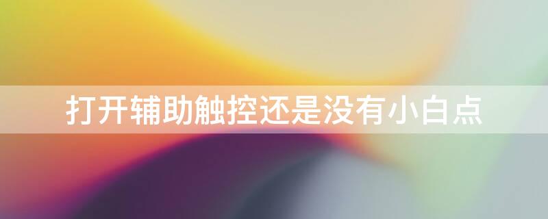 打开辅助触控还是没有小白点 打开辅助触控还是没有小白点显示