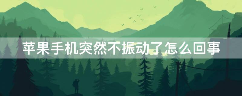 iPhone手机突然不振动了怎么回事 苹果手机不振动了是怎么回事