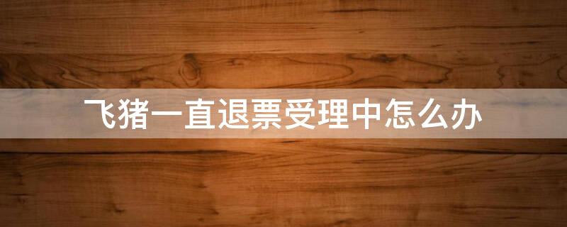 飞猪一直退票受理中怎么办（飞猪退票一直失败什么情况啊）