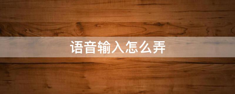 语音输入怎么弄（语音输入怎么了）