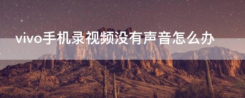 vivo手机录视频没有声音怎么办（vivo录制视频没有声音）