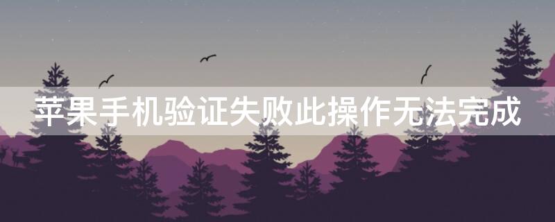 iPhone手机验证失败此操作无法完成 iphone手机验证失败此操作无法完成怎么回事
