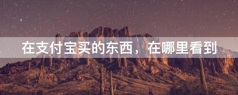在支付宝买的东西，在哪里看到 在支付宝买的东西,在哪里看到记录