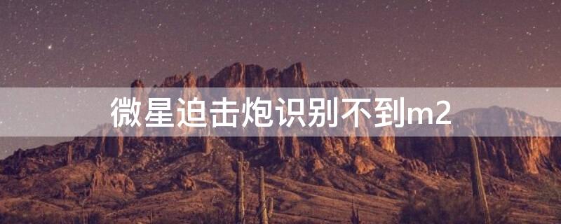 微星迫击炮识别不到m2 微星迫击炮识别不到m2-1
