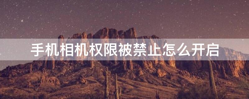 手机相机权限被禁止怎么开启 苹果手机突然没有相机权限
