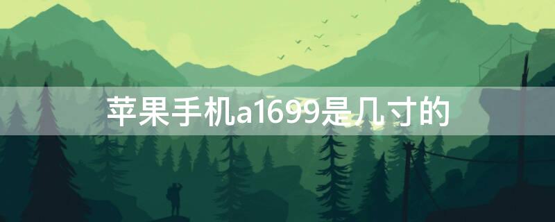 iPhone手机a1699是几寸的 苹果手机a1699型号是苹果几?