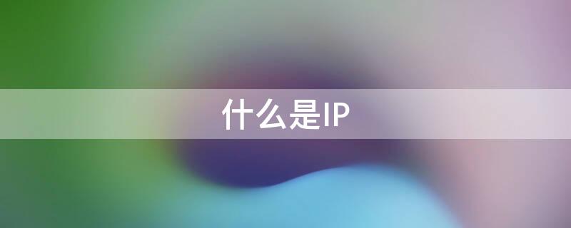 什么是IP 什么是ip地址?
