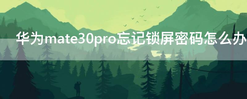 华为mate30pro忘记锁屏密码怎么办 华为mate30pro强制恢复出厂设置