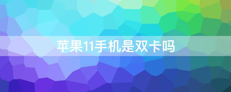 iPhone11手机是双卡吗（iPhone11是双卡吗）