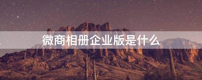 微商相册企业版是什么（微商相册企业版是什么意思）
