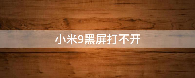 小米9黑屏打不开（小米9黑屏打不开怎么回事）