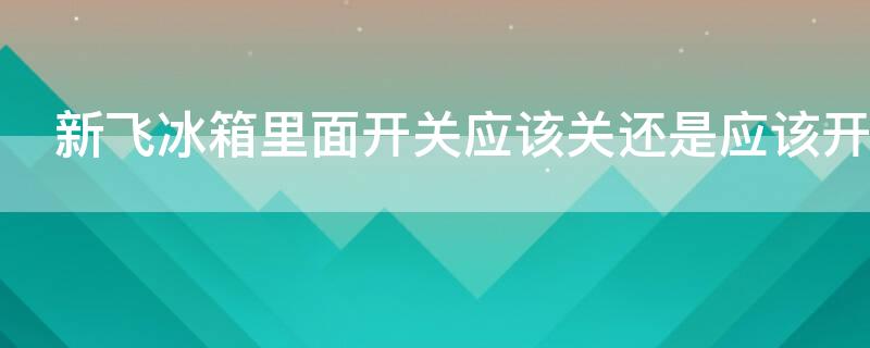 新飞冰箱里面开关应该关还是应该开（新飞冰箱开关是什么作用）