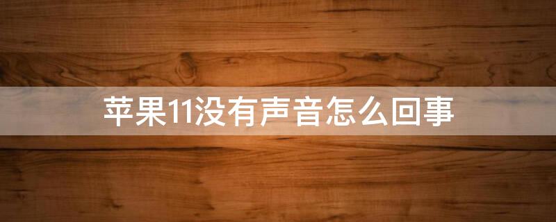 iPhone11没有声音怎么回事（iphone 11没有声音怎么办）