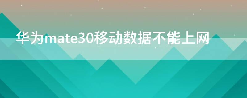 华为mate30移动数据不能上网（华为mate30移动数据不能上网怎么办）