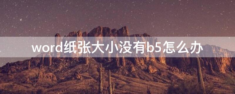 word纸张大小没有b5怎么办 word里纸张大小没有b5怎么办