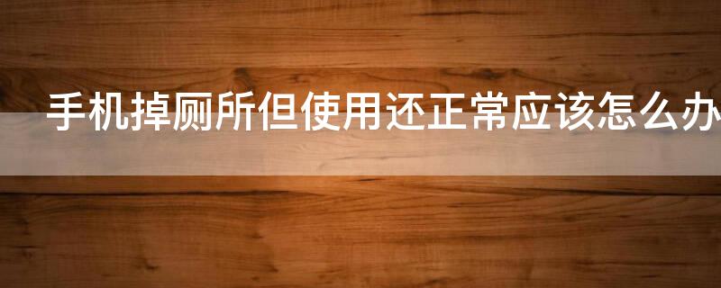 手机掉厕所但使用还正常应该怎么办