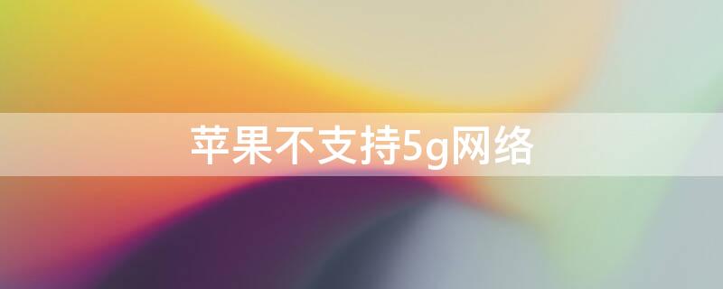 iPhone不支持5g网络（iphone不支持5g怎么办）