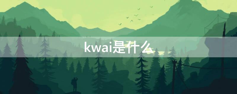kwai是什么（kwai是什么视频软件）