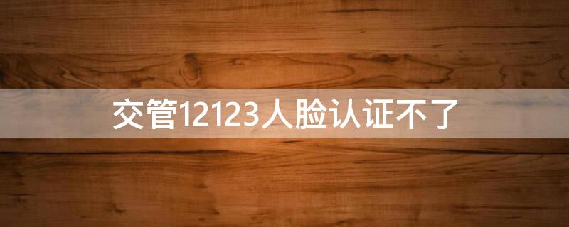 交管12123人脸认证不了 交管12123认证人脸识别不了怎么办