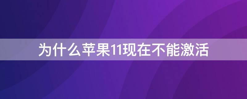 为什么iPhone11现在不能激活（苹果11为什么不能激活）