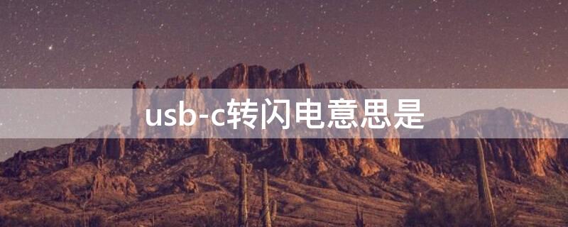 usb-c转闪电意思是（usb-c转闪电啥意思）