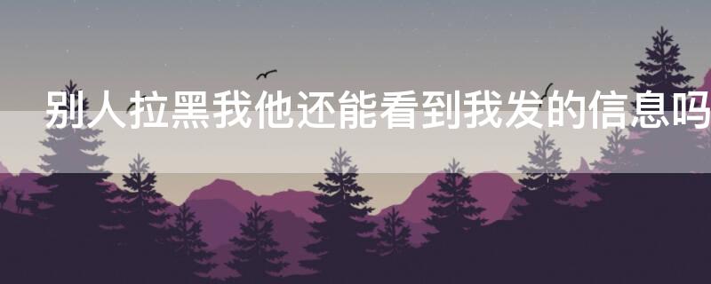 别人拉黑我他还能看到我发的信息吗（别人拉黑我他还能看到我发的信息吗知乎）
