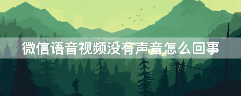 微信语音视频没有声音怎么回事 手机微信语音视频没有声音怎么回事