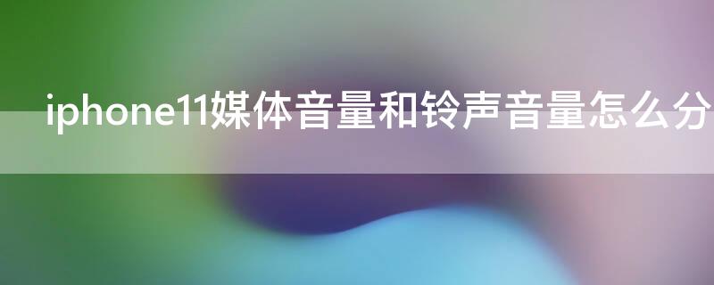 iPhone11媒体音量和铃声音量怎么分开（iphone11媒体音量和铃声一起吗）