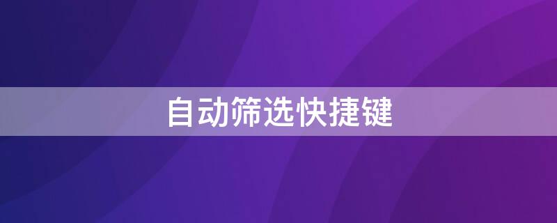 自动筛选快捷键（电脑筛选快捷键ctrl加什么）