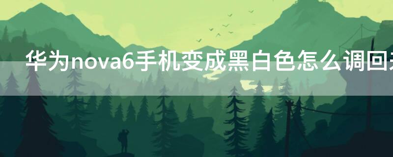 华为nova6手机变成黑白色怎么调回来 华为nova 6变成黑白色了怎么办