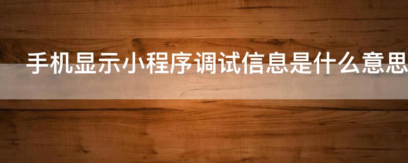 手机显示小程序调试信息是什么意思 手机显示小程序调试信息是什么意思啊