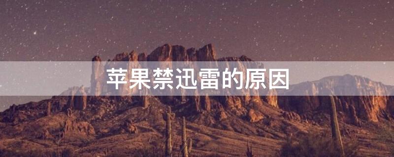 iPhone禁迅雷的原因（iphone迅雷下架原因）
