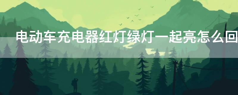 电动车充电器红灯绿灯一起亮怎么回事
