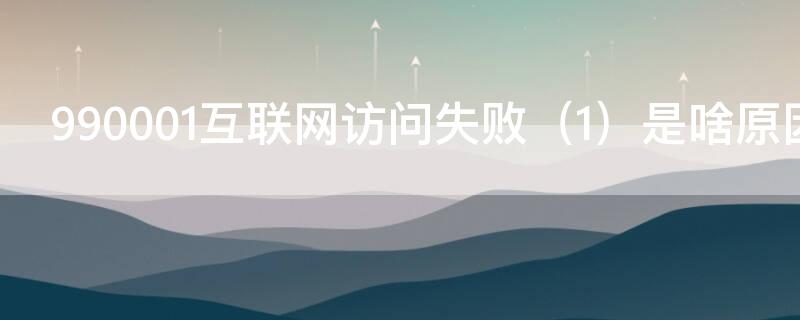 990001互联网访问失败 990001互联网访问失败怎么办