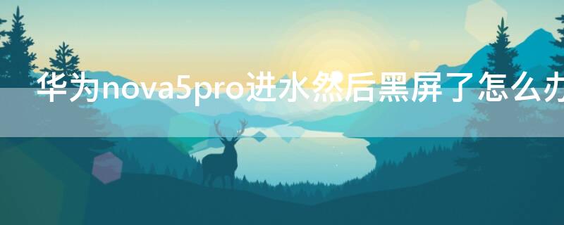 华为nova5pro进水然后黑屏了怎么办 华为nova5进水了就黑屏了