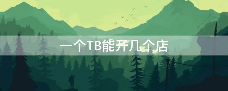 一个TB能开几个店 一个tb能开几个店吗