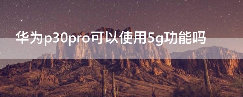 华为p30pro可以使用5g功能吗（华为p30pro支不支持5g）