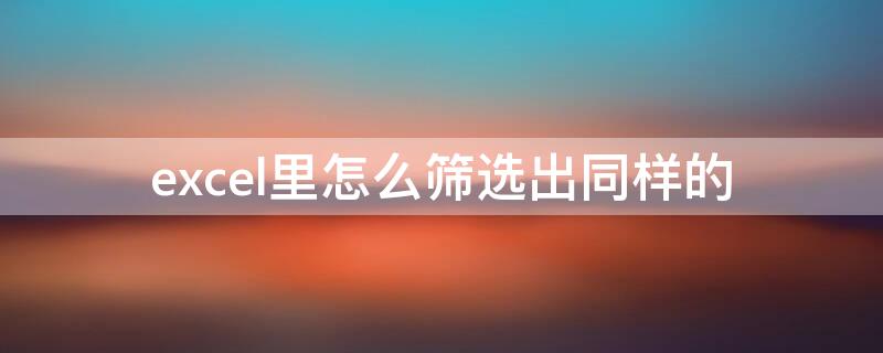 excel里怎么筛选出同样的（excel里怎么筛选出同样的字）