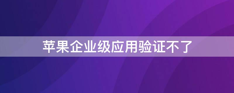 iPhone企业级应用验证不了（苹果企业级应用验证不了怎么办）