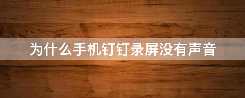 为什么手机钉钉录屏没有声音 手机钉钉录屏没有声音怎么办