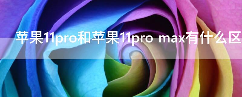 iPhone11pro和iPhone11pro（iPhone11pro和11）