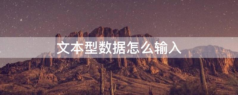 文本型数据怎么输入 文本型数据怎么输入数字