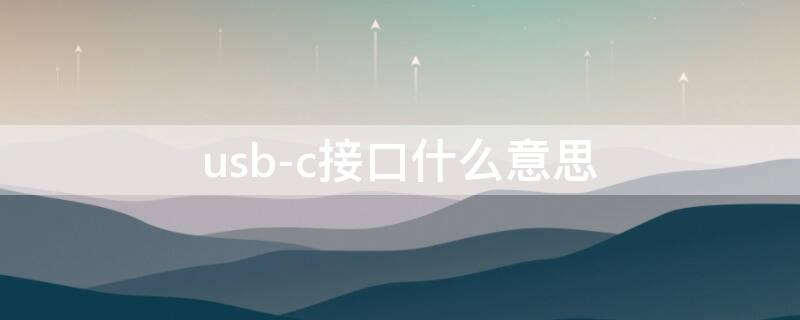 usb-c接口什么意思（usbc接口是什么意思）