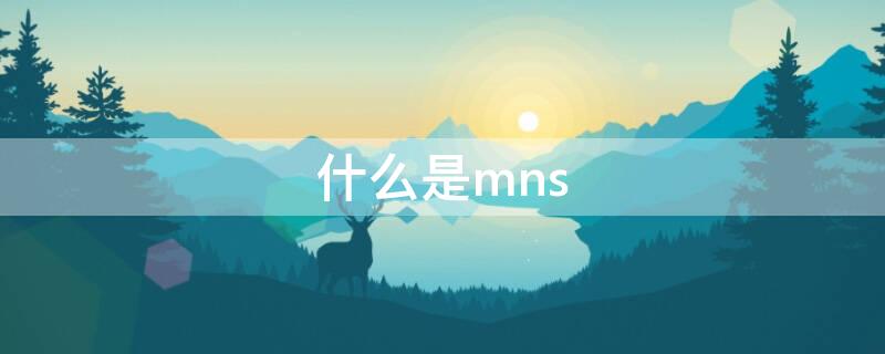 什么是mns（什么是mnsi钢）