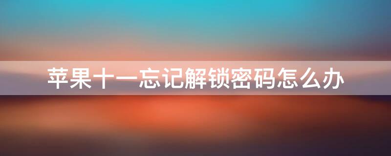 iPhone十一忘记解锁密码怎么办 苹果十一忘记解锁密码怎么办