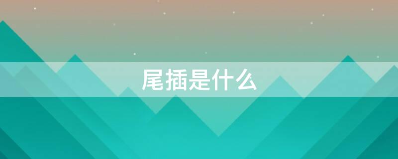 尾插是什么 尾插是什么东西