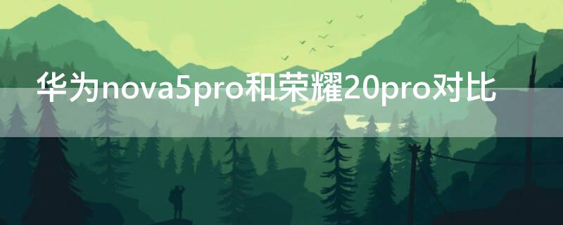 华为nova5pro和荣耀20pro对比 华为nova5 pro和荣耀20pro哪个好点?