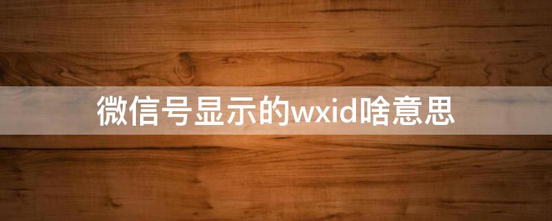 微信号显示的wxid啥意思（微信号显示的是wxid）