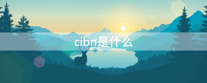 cibn是什么（cibn是什么意思）