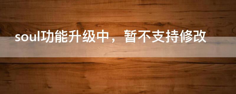 soul功能升级中，暂不支持修改（soul不能更新 此项目不再提供）
